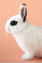 《寂静岭2》重制版已在韩国地区进行分级