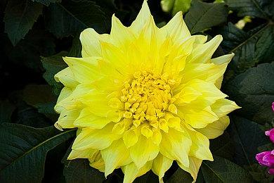 《黑神话：悟空》更新补丁上线 PC端1.9GB